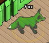 Pets-Faerie fox.png