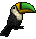 Toucan-gold-lime.png