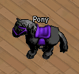 Pets-Night mare.png
