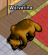 Pets-Wolverine.png