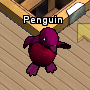 Pets-Berry-wine penguin.png