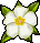 Trinket-Plumeria blossom.png