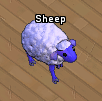 Pets-Dream sheep.png