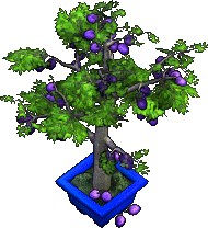 Furniture-Plum Tree-6.png