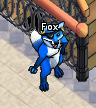 Pets-Blue patchy fox.png