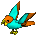Parrot-orange-aqua.png