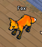 Pets-Autumn fox.png