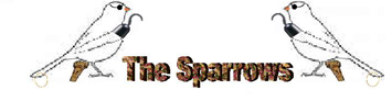 Art-Bjenn-The Sparrows Logo.jpg