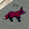 Pets-Wine fox.png