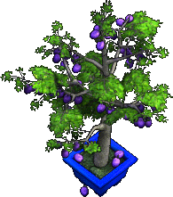Furniture-Plum Tree-5.png