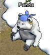 Pets-Polar panda.png