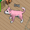 Pets-Be Mine Canine.png