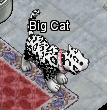 Pets-Snow leopard.png