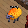 File:Pets-All Hallows sheep.png