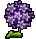 Trinket-Hydrangea flowers.png