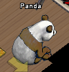 Pets-Panda.png