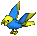 Yellow/Blue Parrot