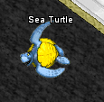 May Mornin' Sea Turtle.PNG