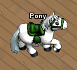 Pets-Festive foal.png