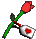 Trinket-Long stem rose with card.png