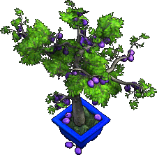 Furniture-Plum Tree-7.png