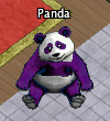 Pets-Plum panda.png