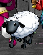 Portrait-item-Sheep.png