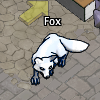 Pets-White fox.png