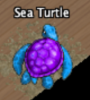 Pets-Tossed-up turtle.png