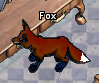 Pets-Chocolate fox.png