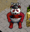 Pets-Crimson bandana panda.png