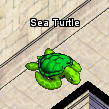 Pets-Vernal sea turtle.png