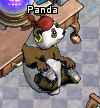 Pets-Bandana panda.png