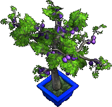 Furniture-Plum Tree-3.png