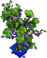 Furniture-Plum Tree-8.png