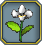 Trinket White orchid.png