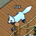 Pets-Frost fox.png