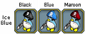 Pets-Swashbuckling penguin colors.png