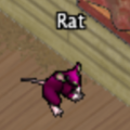 Pets-Roesler Rat.png