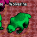 Pets-Emerald wolverine.png