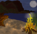 Monthly greylady bonfire on the beach.png