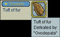 Tuft of fur.png