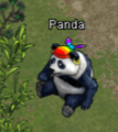 Pets-Rainbow bandana panda.png