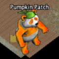 Pets-Pumpkin Pandana.png
