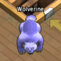 Pets-Twilight wolverine.png