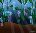 Monthly greylady jellyfish garden.png