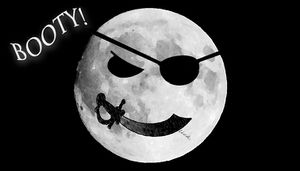 Art-Soulwish-Lunar Bin Flag Motto A2.jpg