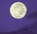 Art-Mofeta-salvia moon.jpg