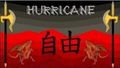 Art-Emberlynn-Hurricane flag.jpg