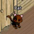 Pets-Dark Cocoa Kitty.png